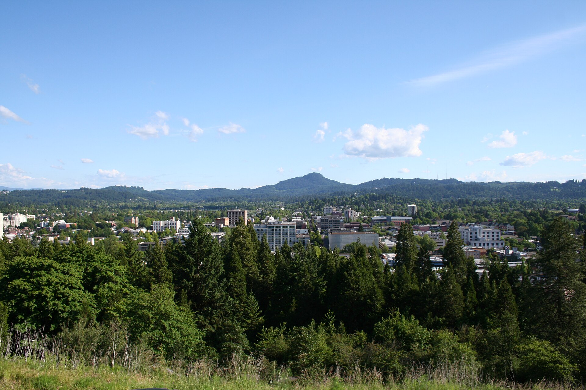 Downtown Eugene's buildings among dark green firs, with Spencer Butte and forested hills under a blue sky.