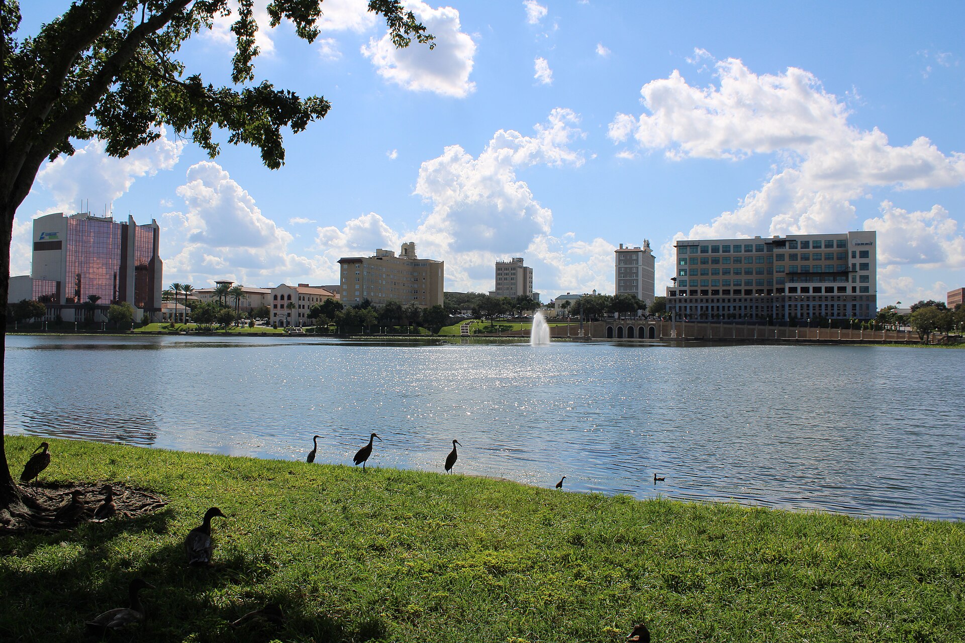 Downtown Lakeland's buildings and a fountain across Lake Mirror, with wading birds on the grassy shore under a blue sky.