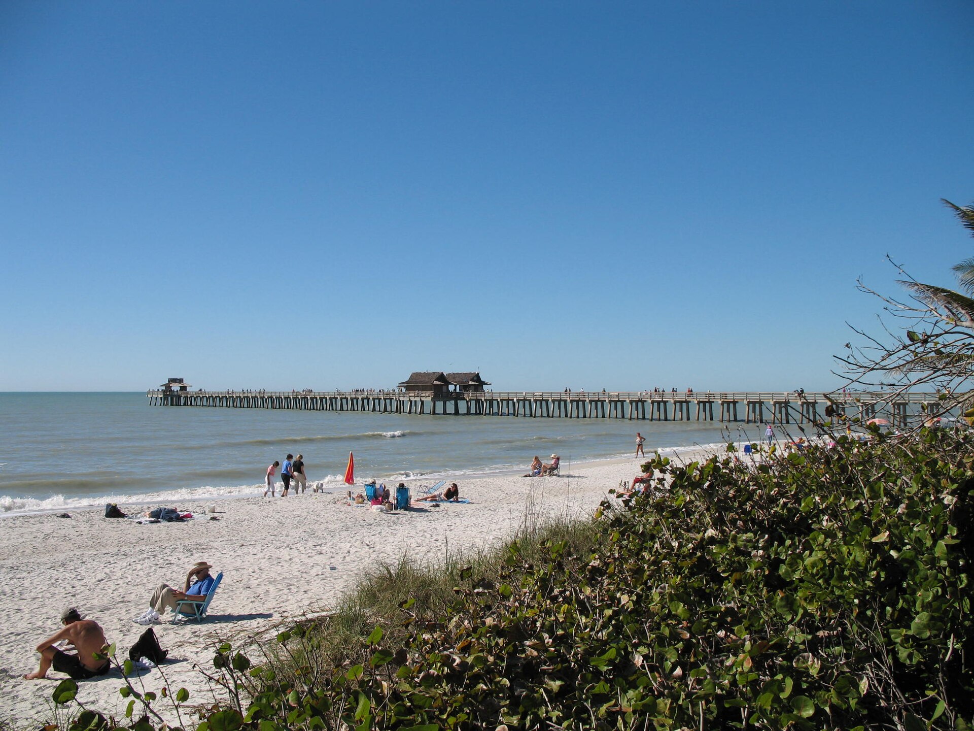 The long wooden Naples Pier stretches into the Gulf of Mexico beyond a white-sand beach and sea grape bushes on a sunny day.